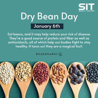 Dry Bean Day: Celebrating the Power of Nature’s Tiny Superfood